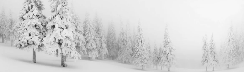 Papier peint panoramique forêt enneigée