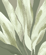 Papier peint étoffe vert - Muralconcept