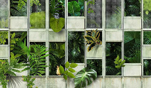 Papier peint panoramique verrière nature plante - Muralconcept