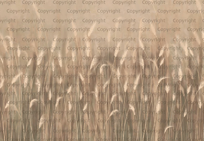 Papier peint panoramique herbes sauvages beige