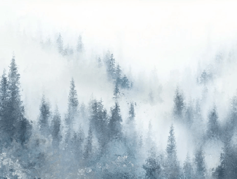 Papier peint restaurant sapin brume bleu aquarelle