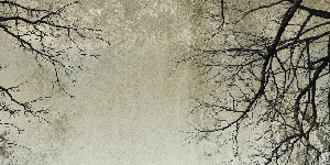 Papier peint Forêt Enchantée - Muralconcept