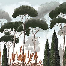 Papier peint sur mesure cyprès pins et herbes de la pampa, XXL, tendance