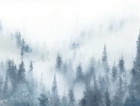 Papier peint restaurant sapin brume bleu aquarelle