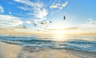 Papier peint Plage Paradisiaque