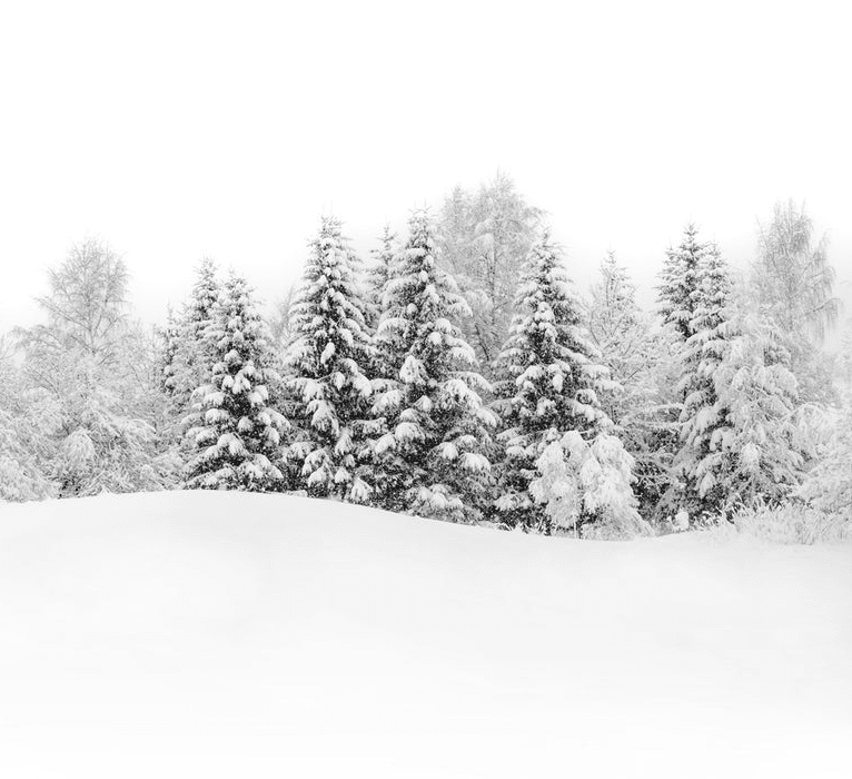 Papier peint panoramique évasion hivernale - Muralconcept