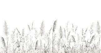 Papier peint poétique pampa