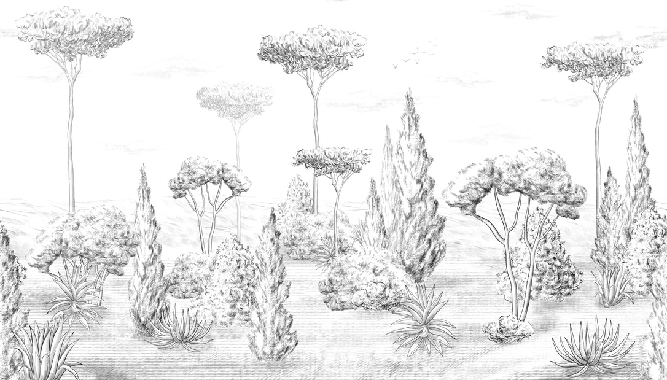 Papier peint panoramique forêt antique