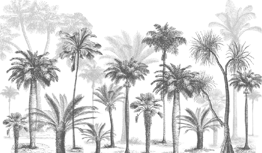 Black & White jungle wallpaper, XXL, tendance