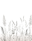 Papier peint poétique pampa