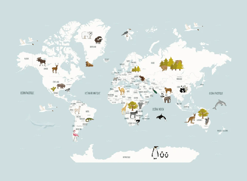 Papier peint Carte du monde en Francais enfant bleu glacier - Muralconcept