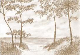 Papier peint Pins maritimes et dunes - Sépia - Muralconcept