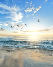 Papier peint Plage Paradisiaque