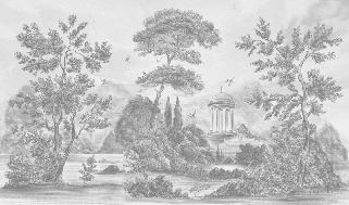 Papier peint panoramique Villa Borghese Rome – Gravure noir et blanc pins italiens - Muralconcept