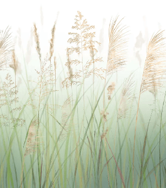 Papier peint fleur des champs de blé vert, XXL, tendance