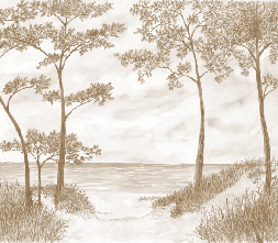 Papier peint Pins maritimes et dunes - Sépia