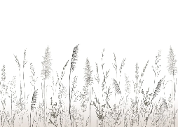 Papier peint poétique pampa