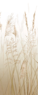 Papier peint fleur des champs de blé - Muralconcept