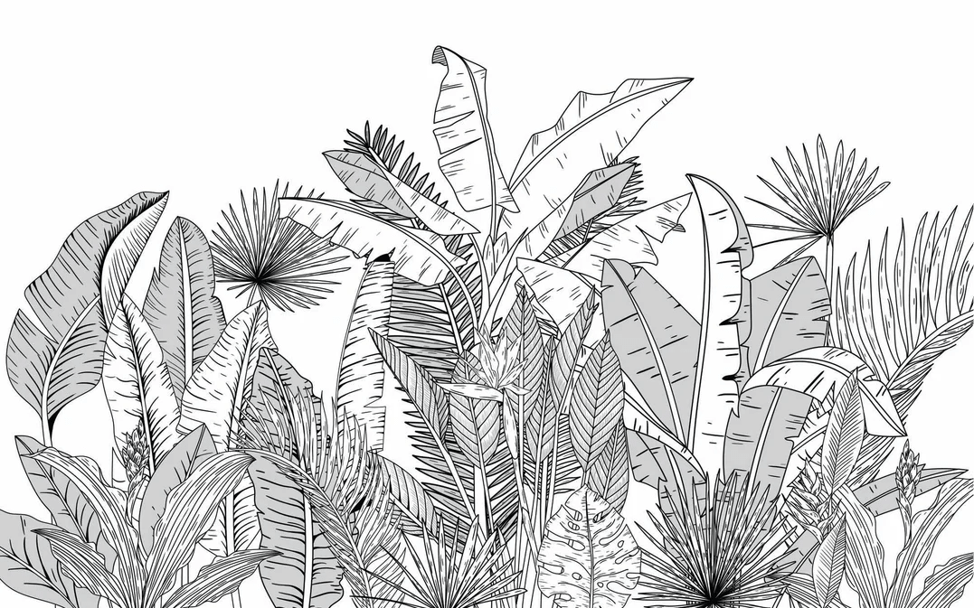 Papier peint panoramique noir et blanc botanic leaf - Muralconcept