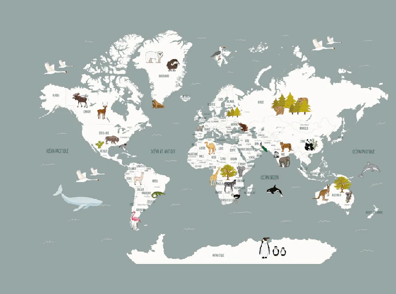 Papier peint Carte du monde en Francais enfant gris - Muralconcept