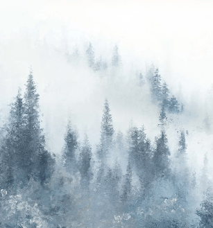 Papier peint sapin brume bleu aquarelle - Muralconcept