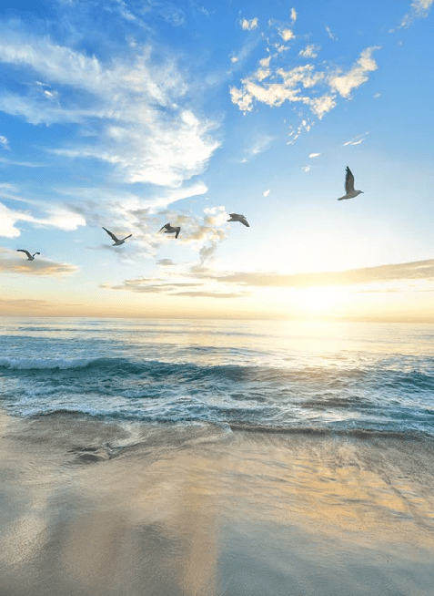 Papier peint Plage Paradisiaque, XXL, tendance