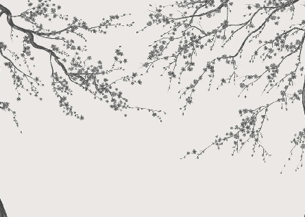 Papier peint panoramique fleur Sakura noir et blanc