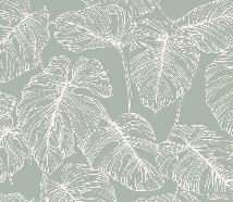 Papier peint feuille monstera sauge, XXL, tendance