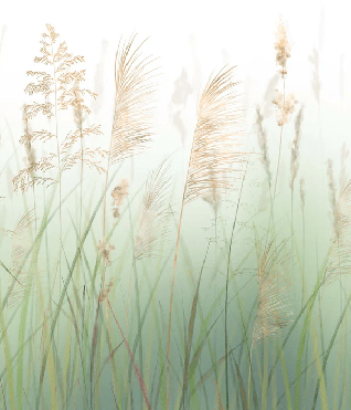 Carta da parati con fiori di campo e grano verde