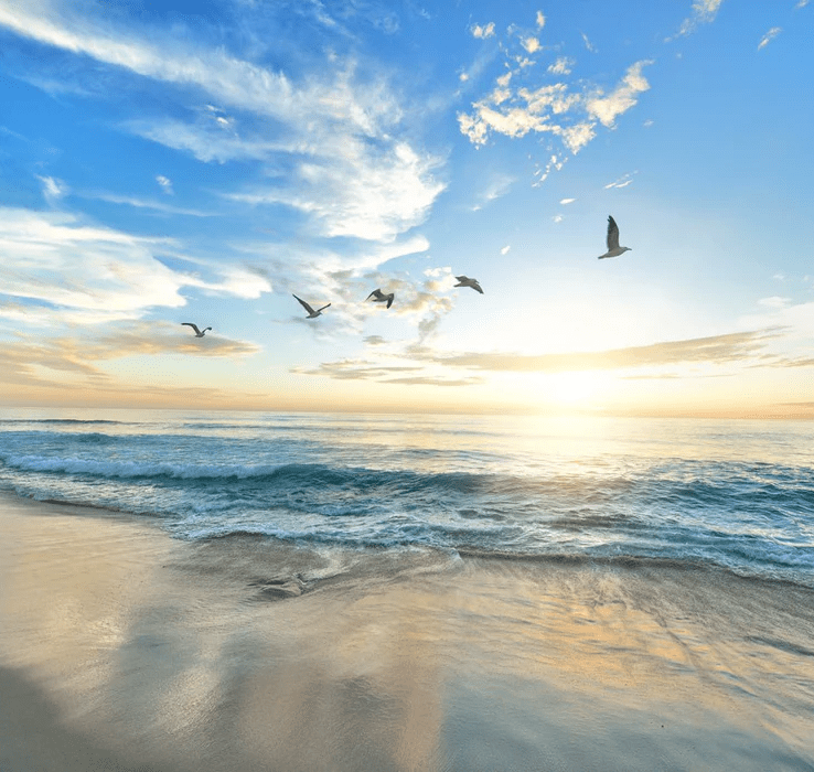 Papier peint Plage Paradisiaque - Muralconcept