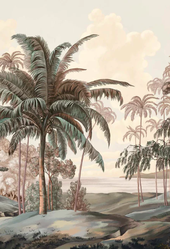 Papier peint paysage Célèbes terra