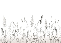 Papier peint poétique pampa, XXL, tendance