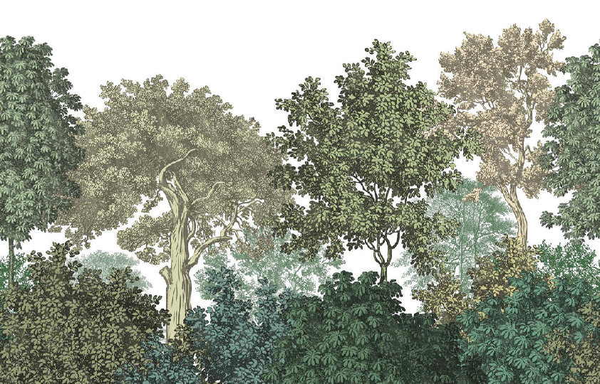 Papier peint paysage forêt gravure