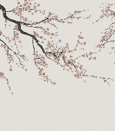 Papier peint panoramique Sakura beige, XXL, tendance