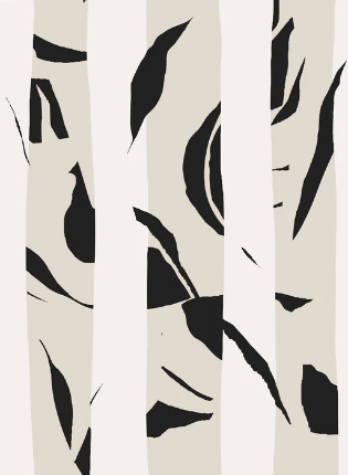 Papier peint rayure bichrome