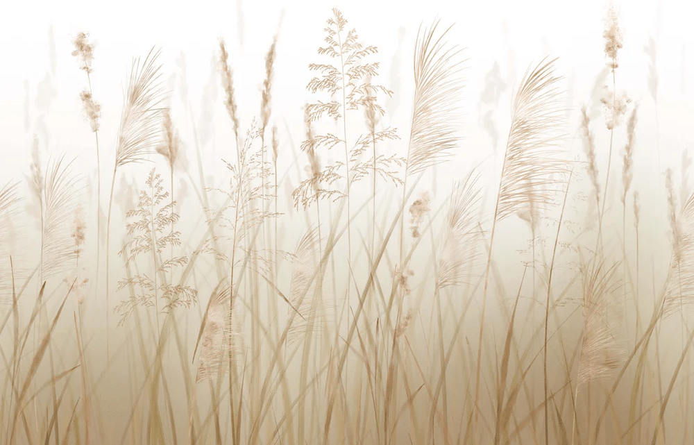 Papier peint fleur des champs de blé, XXL, tendance