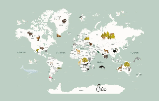 Papier peint Carte du monde en Francais enfant vert