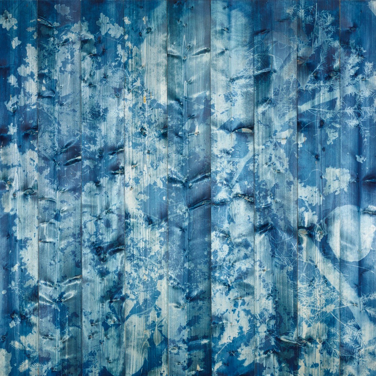 Papier peint Cyanotype Boréal | Les Bleus du Lac®, XXL, tendance