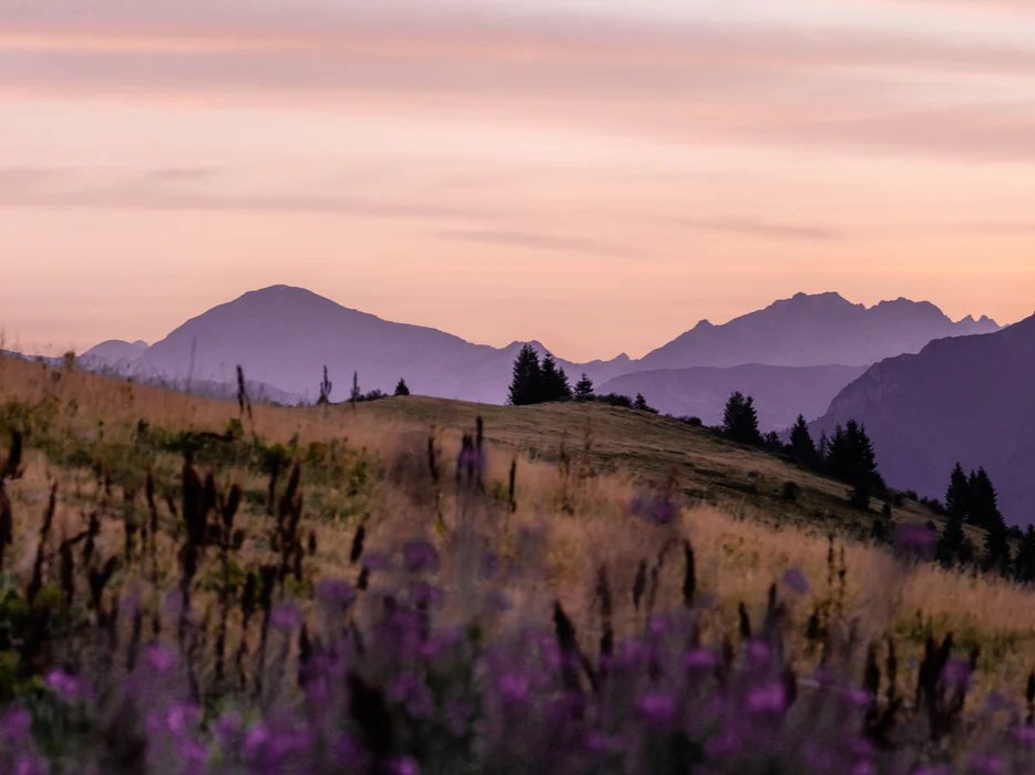 Papier peint restaurant massif du Giffre, mural concept, tendance