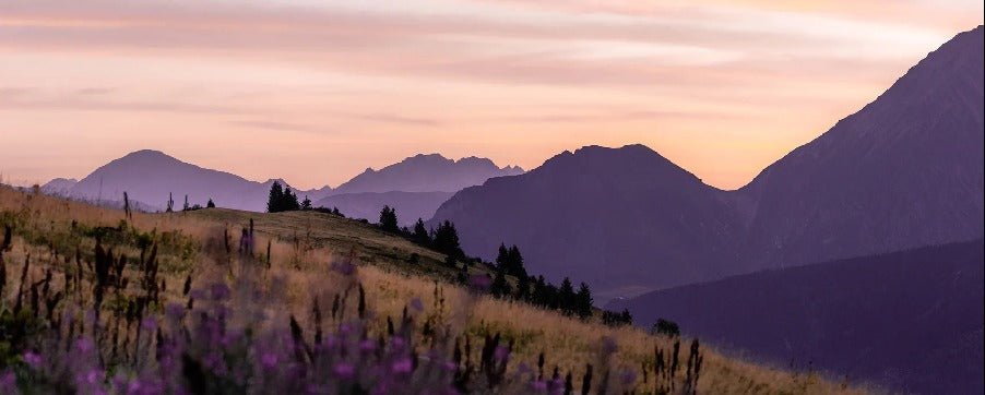 Papier peint restaurant massif du Giffre, mural concept, tendance