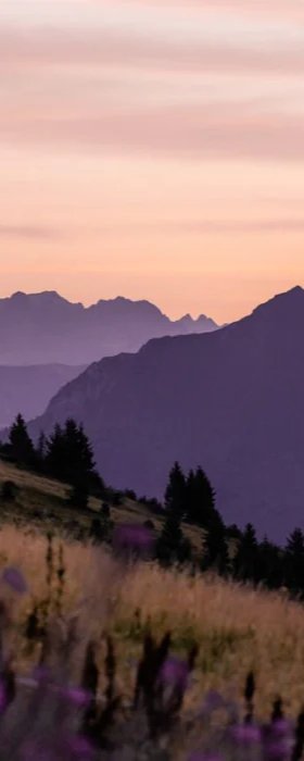 Papier peint restaurant massif du Giffre, mural concept, tendance