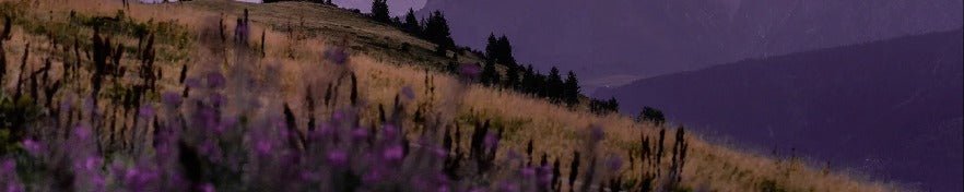 Papier peint restaurant massif du Giffre, mural concept, tendance