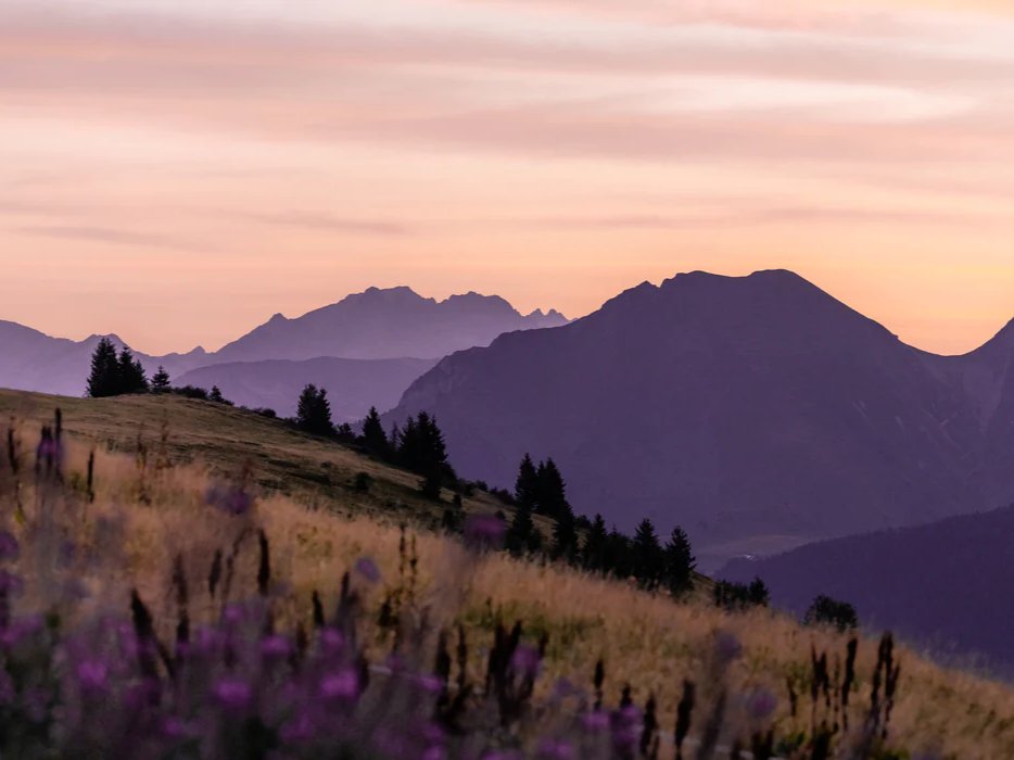 Papier peint restaurant massif du Giffre, mural concept, tendance
