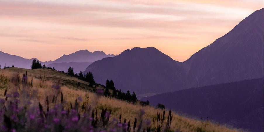 Papier peint restaurant massif du Giffre, mural concept, tendance